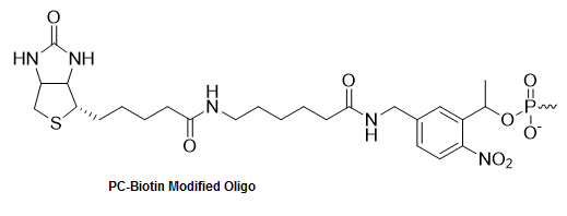 Bio-Synthesis Inc. Oligo Structure